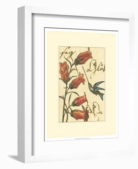 Hummingbird Reverie II-Vision Studio-Framed Art Print