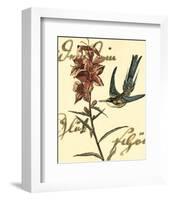 Hummingbird Reverie IV-null-Framed Art Print