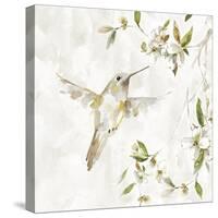 Hummingbird Song I-Carol Robinson-Stretched Canvas