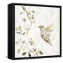 Hummingbird Song II-Carol Robinson-Framed Stretched Canvas