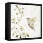 Hummingbird Song II-Carol Robinson-Framed Stretched Canvas