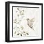 Hummingbird Song II-Carol Robinson-Framed Art Print