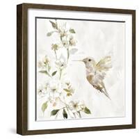Hummingbird Song II-Carol Robinson-Framed Art Print