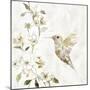 Hummingbird Song II-Carol Robinson-Mounted Art Print