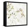 Hummingbird Song IV-Carol Robinson-Framed Stretched Canvas