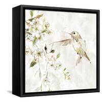 Hummingbird Song IV-Carol Robinson-Framed Stretched Canvas
