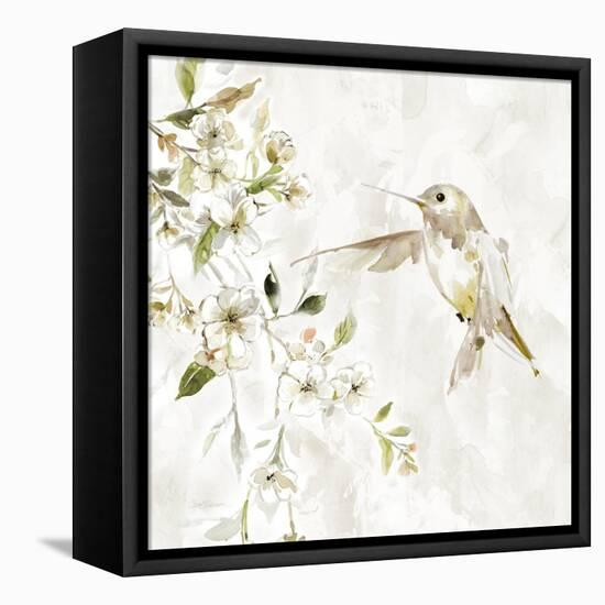 Hummingbird Song IV-Carol Robinson-Framed Stretched Canvas