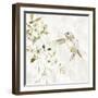 Hummingbird Song IV-Carol Robinson-Framed Art Print