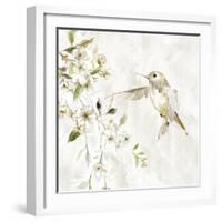 Hummingbird Song IV-Carol Robinson-Framed Art Print