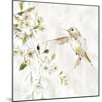 Hummingbird Song IV-Carol Robinson-Mounted Art Print