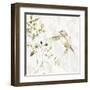 Hummingbird Song IV-Carol Robinson-Framed Art Print