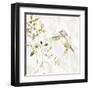 Hummingbird Song IV-Carol Robinson-Framed Art Print