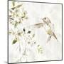 Hummingbird Song IV-Carol Robinson-Mounted Art Print