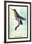 Hummingbird: Trochilus Avocetta-Sir William Jardine-Framed Art Print