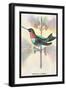 Hummingbird: Trochilus Colubris-Sir William Jardine-Framed Art Print