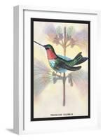 Hummingbird: Trochilus Colubris-Sir William Jardine-Framed Art Print