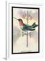 Hummingbird: Trochilus Colubris-Sir William Jardine-Framed Art Print