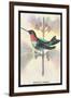 Hummingbird: Trochilus Colubris-Sir William Jardine-Framed Art Print