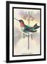 Hummingbird: Trochilus Colubris-Sir William Jardine-Framed Art Print