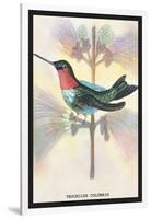Hummingbird: Trochilus Colubris-Sir William Jardine-Framed Art Print