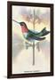 Hummingbird: Trochilus Colubris-Sir William Jardine-Framed Art Print