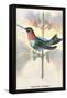 Hummingbird: Trochilus Colubris-Sir William Jardine-Framed Stretched Canvas