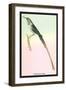 Hummingbird: Trochilus Cora-Sir William Jardine-Framed Art Print