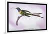 Hummingbird: Trochilus Enicurus-Sir William Jardine-Framed Art Print