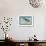 Hummingbird: Trochilus Gramineus-Sir William Jardine-Framed Art Print displayed on a wall