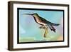 Hummingbird: Trochilus Gramineus-Sir William Jardine-Framed Premium Giclee Print