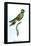 Hummingbird: Trochilus Leucotis-Sir William Jardine-Framed Stretched Canvas