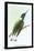 Hummingbird: Trochilus Mellivorous-Sir William Jardine-Framed Stretched Canvas