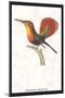 Hummingbird: Trochilus Moschitus-Sir William Jardine-Mounted Art Print