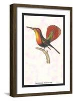 Hummingbird: Trochilus Moschitus-Sir William Jardine-Framed Art Print