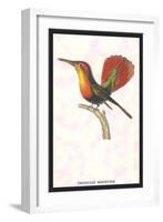 Hummingbird: Trochilus Moschitus-Sir William Jardine-Framed Art Print