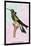 Hummingbird: Trochilus Petasphorus-Sir William Jardine-Mounted Art Print