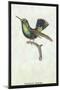 Hummingbird: Trochilus Prasina-Sir William Jardine-Mounted Art Print