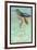 Hummingbird: Trochilus Recurvirostris-Sir William Jardine-Framed Art Print