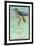 Hummingbird: Trochilus Recurvirostris-Sir William Jardine-Framed Art Print