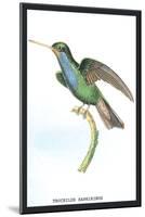 Hummingbird: Trochilus Saphirinus-Sir William Jardine-Mounted Art Print