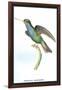 Hummingbird: Trochilus Saphirinus-Sir William Jardine-Framed Art Print