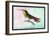 Hummingbird: Trochilus Sephanoides-Sir William Jardine-Framed Art Print