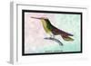 Hummingbird: Trochilus Sephanoides-Sir William Jardine-Framed Art Print