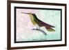 Hummingbird: Trochilus Sephanoides-Sir William Jardine-Framed Art Print