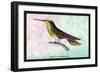 Hummingbird: Trochilus Sephanoides-Sir William Jardine-Framed Premium Giclee Print