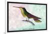 Hummingbird: Trochilus Sephanoides-Sir William Jardine-Framed Art Print