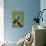 Hummingbird V-Larry Malvin-Photographic Print displayed on a wall