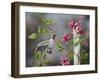 Hummingbird with Flowers-Sarah Davis-Framed Giclee Print