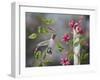 Hummingbird with Flowers-Sarah Davis-Framed Giclee Print