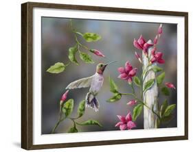 Hummingbird with Flowers-Sarah Davis-Framed Giclee Print